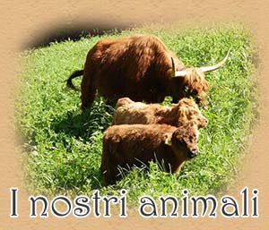 I nostri animali